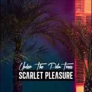 Il testo UNDER THE PALM TREES di SCARLET PLEASURE è presente anche nell'album Mirage (2014)