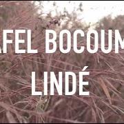 Il testo YER GANDO di AFEL BOCOUM è presente anche nell'album Lindé (2020)