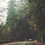 Forest park