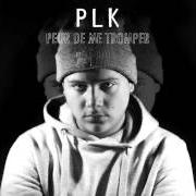 Il testo PALM TREES di PLK è presente anche nell'album Peur de me tromper (2015)
