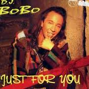 Il testo EVERYTHING HAS CHANGED (RAGGADAG MIX) di DJ BOBO è presente anche nell'album Just for you (1995)