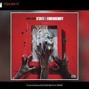 Il testo 3D di MONEY MAN è presente anche nell'album State of emergency (2020)