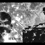 Il testo UNIVERARTH di DJ KRUSH è presente anche nell'album Jaku (2004)