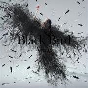 Black bird / tiny dancers / omoideha kireide