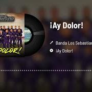 Il testo SOY JAVIER di BANDA LOS SEBASTIANES è presente anche nell'album ¡ay dolor! (2020)