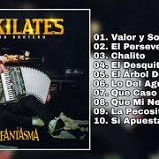 Il testo QUE CASO TIENE di EL FANTASMA è presente anche nell'album 10 kilates: con norteño (2019)