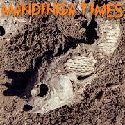 Il testo MANDINGA TIMES di RITA INDIANA è presente anche nell'album Mandinga times (2020)