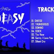 Il testo SILENT CRY di STRAY KIDS è presente anche nell'album Noeasy (2021)