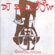 Il testo STRIKE 2 di DJ SHADOW è presente anche nell'album Preemptive strike (1998)