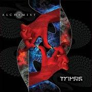 Il testo ANTICIPATION OF A HIGH dei THE ALCHEMIST è presente anche nell'album Tripsis (2007)