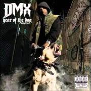 Il testo IT'S PERSONAL di DMX è presente anche nell'album Year of the dog... again (2006)