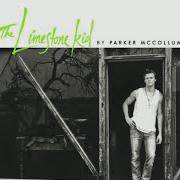 Il testo HAPPY NEW YEAR di PARKER MCCOLLUM è presente anche nell'album The limestone kid (2015)