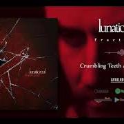 Il testo LIMBO dei LUNATIC SOUL è presente anche nell'album Lunatic soul ii (2010)