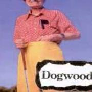 Il testo LIQUID LINES dei DOGWOOD è presente anche nell'album Good ol' daze (1996)