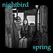 Il testo NIGHT IN SAGUARO di BRITTAIN ASHFORD & MATT BAUER è presente anche nell'album Day inside a night (2020)