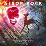 Il testo HOLY WATERFALL di AESOP ROCK è presente anche nell'album Spirit world field guide (2020)