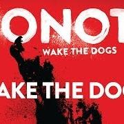 Il testo SOLID GOLD dei DONOTS è presente anche nell'album Wake the dogs (2012)