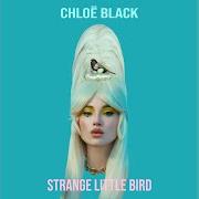 Strange little bird Strange little bird