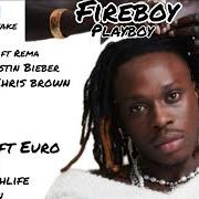 Il testo AFRO HIGHLIFE di FIREBOY DML è presente anche nell'album Playboy (2022)