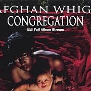 Il testo AMPHETAMINES AND COFFEE di AFGHAN WHIGS è presente anche nell'album Up in it (1990)