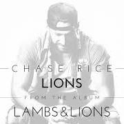 Il testo ONE LOVE, ONE KISS, ONE DRINK, ONE SONG di CHASE RICE è presente anche nell'album Lambs & lions (2017)