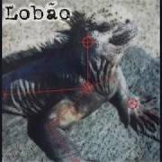 Il testo CUIDADO di LOBÃO è presente anche nell'album Lobão (2015)