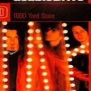 Il testo REASON dei DOUBLEDRIVE è presente anche nell'album 1000 yard stare (1999)