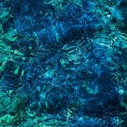 Luminescent creatures