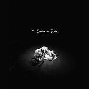 Il testo A COMMON TERN di ANNA B SAVAGE è presente anche nell'album A common turn (2021)