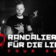 Il testo GOLDENER KÄFIG di SWISS & DIE ANDERN è presente anche nell'album Randalieren für die liebe (2018)