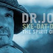 Il testo GUT BUCKET BLUES di DR. JOHN è presente anche nell'album Ske-dat-de dat... the spirit of satch (2014)