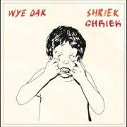 Il testo SICK TALK dei WYE OAK è presente anche nell'album Shriek (2014)