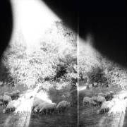 Il testo PISS CROWNS ARE TREBLED di GODSPEED YOU! BLACK EMPEROR è presente anche nell'album Asunder, sweet and other distress (2015)