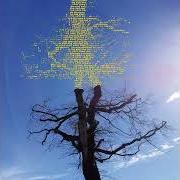 Il testo PANSER L'INACCEPTABLE di LAETITIA SADIER è presente anche nell'album Rooting for love (2024)