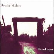 Il testo CONDEMNATION dei DREADFUL SHADOWS è presente anche nell'album Buried again (1996)
