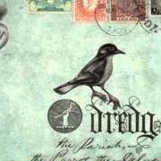 Il testo STAMP OF ORIGIN - TAKE A LOOK AROUND dei DREDG è presente anche nell'album The pariah, the parrot, the delusion (2009)