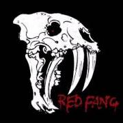 Il testo BEHIND THE LIGHT di RED FANG è presente anche nell'album Whales and leeches (2013)