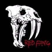 Il testo THIS ANIMAL di RED FANG è presente anche nell'album Whales and leeches (2013)