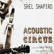 Il testo ELDORADO di SHEL SHAPIRO & MAURIZIO VANDELLI è presente anche nell'album Acoustic circus (2008)