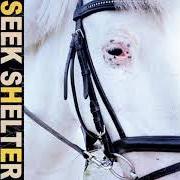 Il testo SHELTER SONG di ICEAGE è presente anche nell'album Seek shelter (2021)