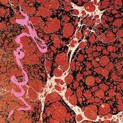 Il testo CATCH IT di ICEAGE è presente anche nell'album Beyondless (2018)