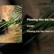 Il testo ON MY FINGERS di ICEAGE è presente anche nell'album Plowing into the field of love (2014)