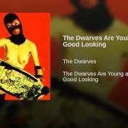 Il testo ONE TIME ONLY dei DWARVES è presente anche nell'album The dwarves are young and good looking (1997)