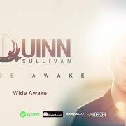 Il testo REAL THING di QUINN SULLIVAN è presente anche nell'album Wide awake (2021)