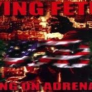 Il testo FORNICATION TERRORISTS dei DYING FETUS è presente anche nell'album Killing on adrenaline (1998)