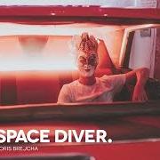 Il testo NEVER LOOK BACK di BORIS BREJCHA è presente anche nell'album Space diver (2020)