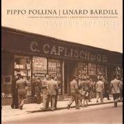 Il testo A SONGWRITER IN NEW YORK di PIPPO POLLINA è presente anche nell'album Caffè caflisch (2008)