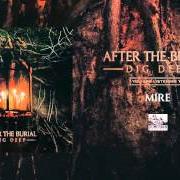 Il testo LOST IN THE STATIC degli AFTER THE BURIAL è presente anche nell'album Dig deep (2016)