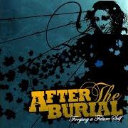 Il testo A STEADY DECLINE degli AFTER THE BURIAL è presente anche nell'album Forging a future self (2006)