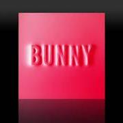 Il testo BUNNY'S INTERLUDE di MATTHEW DEAR è presente anche nell'album Bunny (2018)